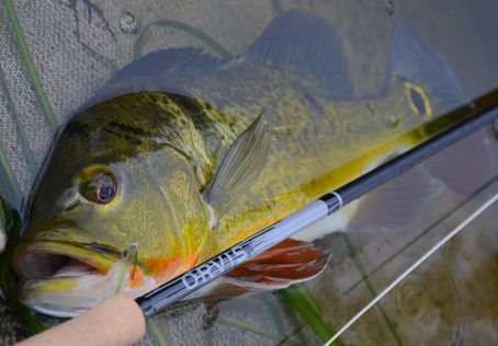 Orvis Helios 3 Blackout 5-weight Fly Rod Review