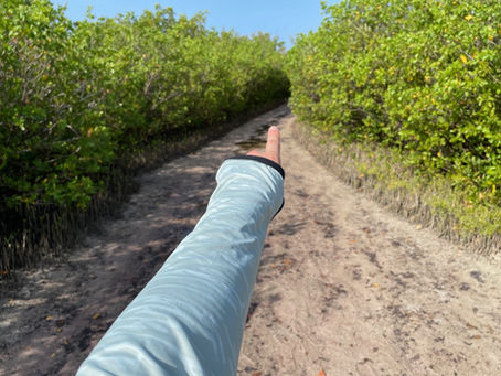 BlackStrap Brackish Sun-Protective Shirt Review