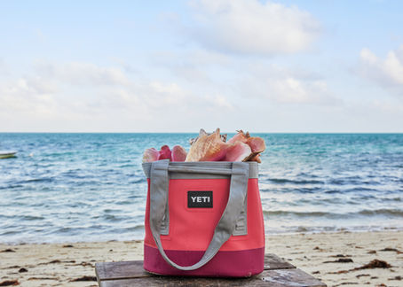 NEW Spring Products From YETI