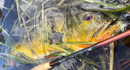 Hardy Ultralite X 5-Weight Fly Rod Review