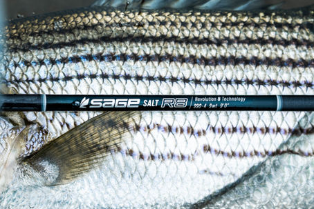 New Sage SALT R8 Saltwater Fly Rods