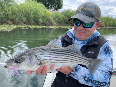 Fly Fishing Rods and Reels: Try Something NEW!